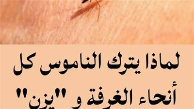 لماذا يترك الناموس كل أنحاء الغرفه