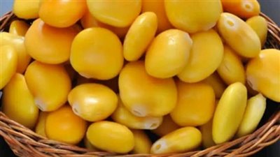 فوائد الترمس للنساء 